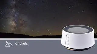 Letsfit T126L Sleep Sound Machine, 14 Soothing Sounds and Adjustable Nightlight