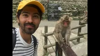 JR Pass Journey Day 13 | Kanazawa to Nagano | Snow Monkey’ing Around at Jigokudani Park