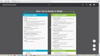 How to use the 9DayDetox.net website