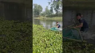 Traditional Natural Hand Fishing Skills #ytshorts #fishing