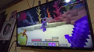 Prueba staff mineboom 