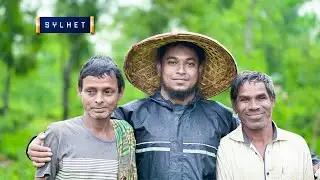 পাহাড়ি চা বাগান | বৃষ্টিমুখর মাধবপুর লেক এর অসাধারন ভিউ | শ্রীমঙ্গল | সিলেট