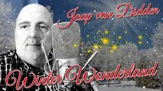Jaap van Didden - Winter Wonderland 2021