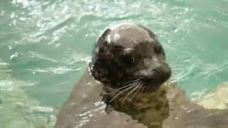 The Maritime Aquarium 30 Second Spot