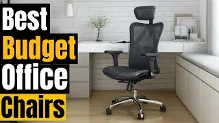 Best Budget Office Chairs 2024: Comfort and Style on a Dime