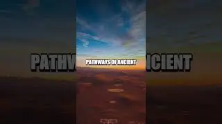 The Enigma of the Nazca Lines: Peru's Mysterious Geoglyphs