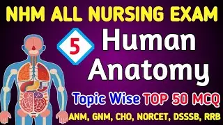 ANM | GNM | CHO 2025 | Anatomy and Physiology MCQ in Hindi #anm #gnmclasses #choclasses #studymantra