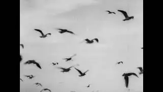 Drifters (1929)