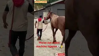 Horse out walker machine in japan 🇯🇵👌 #japan #indian #horse #horselover #jra
