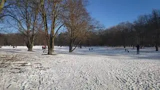 Rehberge im Winter