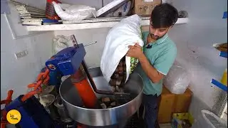 100% Pure Organic Rajapuri Cold Press Coconut Oil Bulk Making Rs. 200/- Only l Vadodara Food Tour