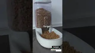 Hassle-Free Feeding with the Amazon Basics Gravity Pet Feeder! 🐶🐱🍽️