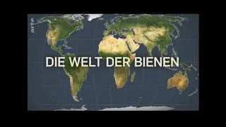 Mit offenen Karten - Die Welt der Bienen
