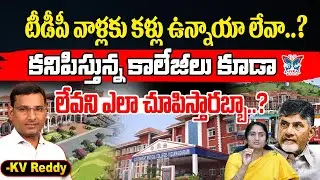 టీడీపీ వాళ్లకు కళ్లు ఉన్నాయా లేవా...? K.V.Reddy Key Analysis About Minister Savitha Political Stunts