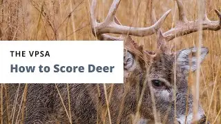 How To Score Deer - Virginia Big Game Contest