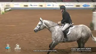 2021 AQHA Progressive Working Hunter