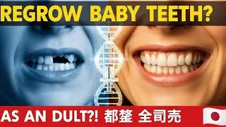 Can You Regrow Baby Teeth as an Adult? The Science Explained | Medical Miracle