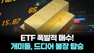 ETF 폭발적 매수! 개미들, 드디어 불장 탑승