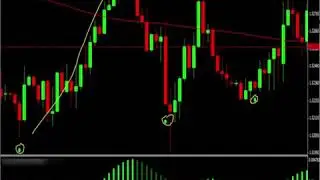 Daily Pips Machine Review By Forex Trading Group - Daily Pips Machine Working 2018