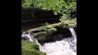 Waterfall Yorkshire Bridge