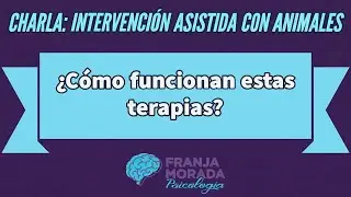 Intervenci&oacute;n Asistida con Animales: &iquest;C&oacute;mo funcionan estas terapias?