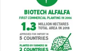 Top 5 Biotech Crops Occupy 99% of Global Biotech Crop Area