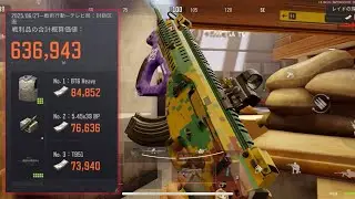 シーズン最後にARX使って63万レイド！！