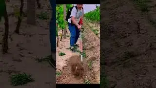 Smart Farming Tools Every Farmer and Gardener Should See #shorts