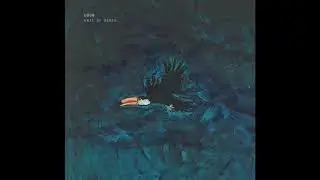 DDOB - Date Of Birth [Full BeatTape]