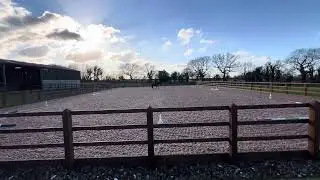 BRC WALK & TROT TEST 2 - Emily & Whinnie