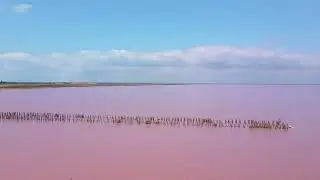 Top 3 Pink Lakes