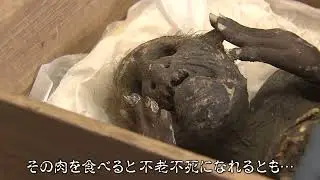 「人魚のミイラ？！」寺に眠る秘宝は本物か 伝説に科学でアプローチ【岡山・浅口市】