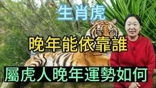 生肖虎！晚年运势如何呢？生肖属虎人晚年可以依靠谁呢？本期视频讲述生肖虎！#生肖 #運勢 #財運