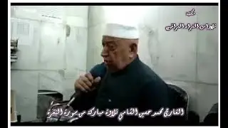 القارئ محمد حسين الشامي تلاوة مباركة من سورة البقرة