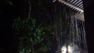 No AdsNo Ads Rain Sounds for Sleeping - ASMR Rain and Thunder Sounds For Sleeping, Relaxing
