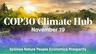 COP 30 - November 19