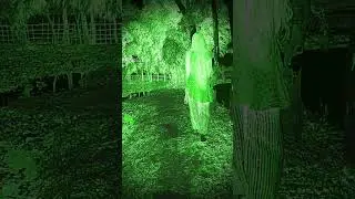 Denjer Bhoot😳😱😭#shorts #trending #bhoot #world