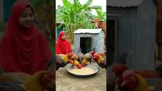 #Duck#🐓#funny  Hens#Pearl Hen#Rooster #roosterdance  #youtubeshorts#beautiful funny chickendance#hen