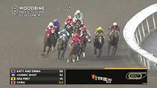 Woodbine, Tbred, November 25, 2021 Race 4