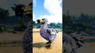 Dodo