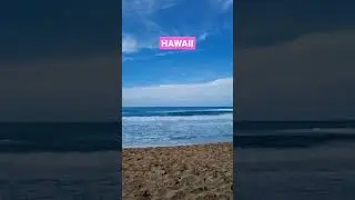 Hawaii Beach Now