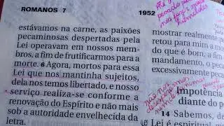Dia 8 de Janeiro