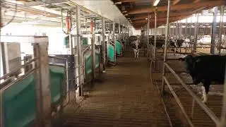 GEA DairyRobot R9500
