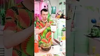 Самое необходимое для ухода за хищным растением.