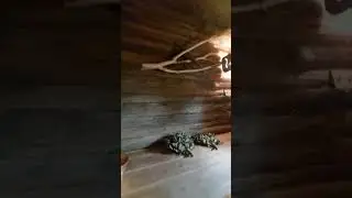 Печь Aito ak-57 в парной.(Растопка,первый пар)