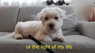 send this to ur friends if they're feeling lonely