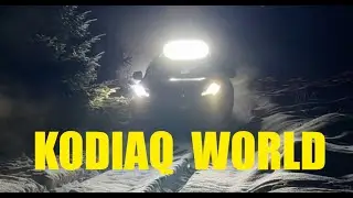 Skoda Kodiaq нашли приключения в зимнем лесу