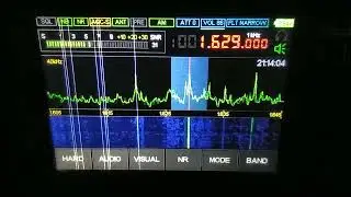 Bluebird Radio (Netherlands), 1629,   2025.11.10,  21.24 UTC