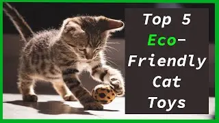 Top 5 Eco-Friendly Cat Toys of 2023