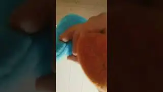 #несудитестрого